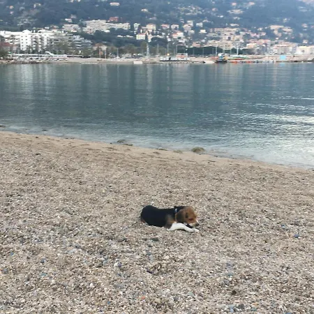 Διαμέρισμα Maroelvi Μεντόν